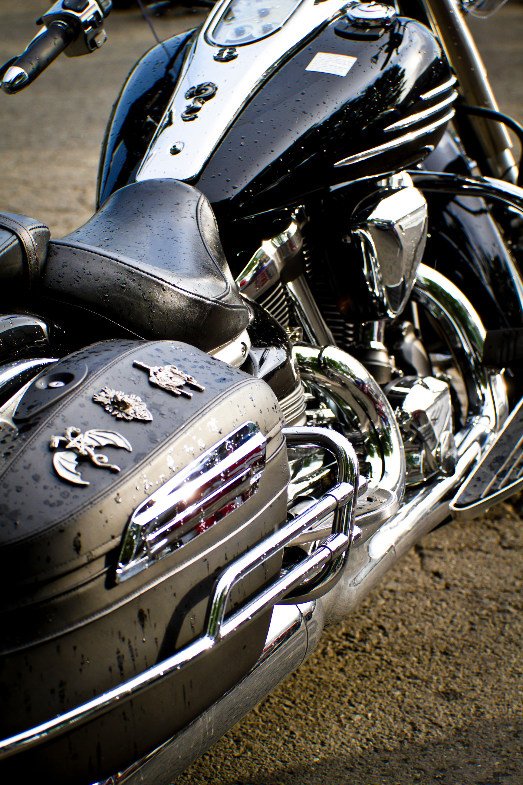 Motorbike's Chromed Engine 